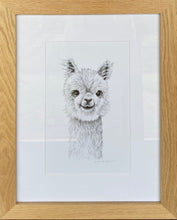 Load image into Gallery viewer, Framed original drawing &quot;Baby Alpaca&quot;