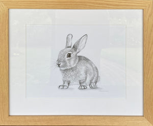 Framed original drawing "Baby Rabbit"