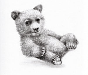 Framed original drawing "Baby Bear"