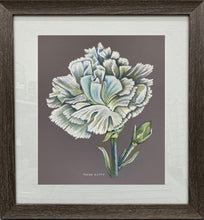 Load image into Gallery viewer, &quot;Albert&#39;s Carnation&quot;