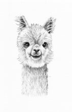 Load image into Gallery viewer, Framed original drawing &quot;Baby Alpaca&quot;