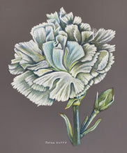 Load image into Gallery viewer, &quot;Albert&#39;s Carnation&quot;