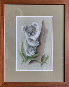 "Young Koala"