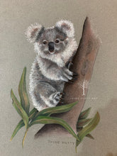 Load image into Gallery viewer, &quot;Young Koala&quot;